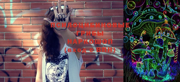 PSILOCYBIN Наволоки