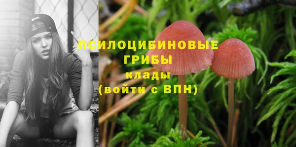 PSILOCYBIN Наволоки